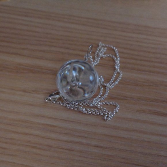 Transparent Glass Globe Real Dandelion Necklace - Picture 7 of 7